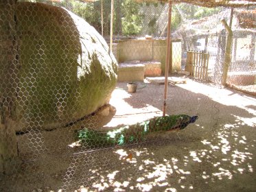 Mini-Zoo do Complexo Turístico do Peneireiro
