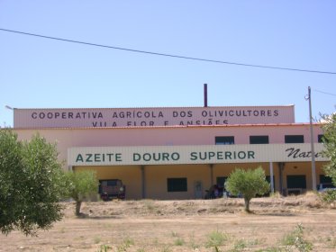 Cooperativa Agrícola dos Olivicultores de Vila Flor e Ansiães