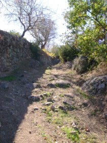Circuito Arqueológico Freixo de Numão