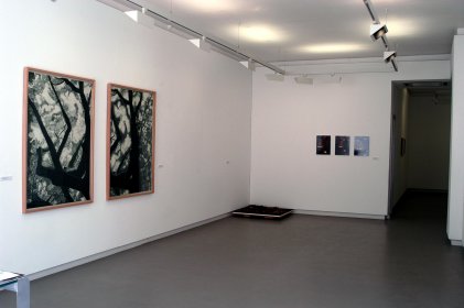 Galeria de Arte Contemporânea