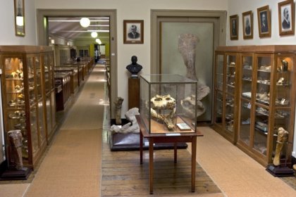 Museu Geológico