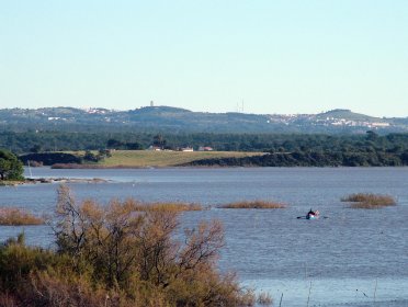 Reserva Natural das Lagoas de Santo André e Sancha