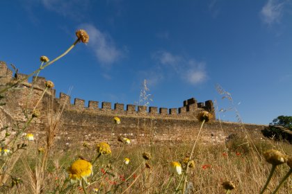 Castelo de Terena