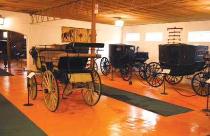 Museu de Carros de Cavalos