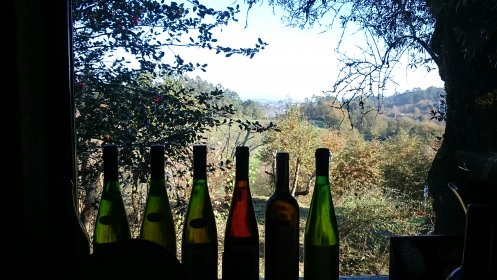 Quinta do Ameal - Wine & Tourism Terroir