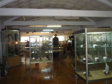Museu de Caça e Pesca
