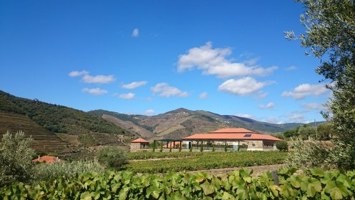 Quinta da Roêda