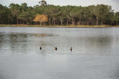 Lagoa de Pataias