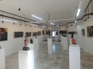 Casa-Museu Dr. Sousa Martins