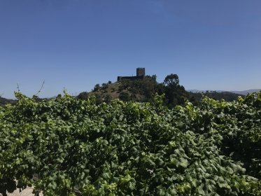 Castelo de Arnóia